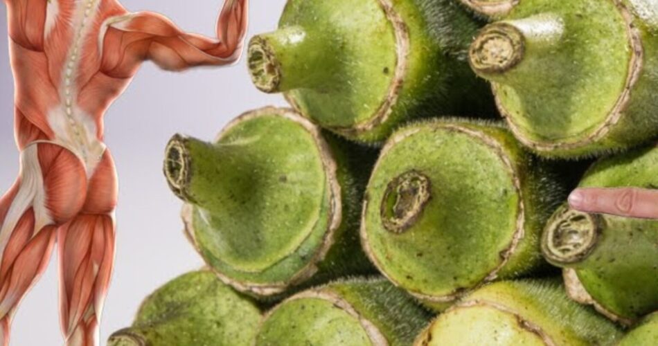 Okra The Secret to Healing Your Body!