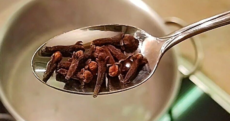 Boil the Cloves, Drink the Liquid A Timeless Remedy You’ll Be Grateful For