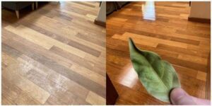 A Natural Sparkle-The Bay Leaf Cleaner for a Gleaming Home