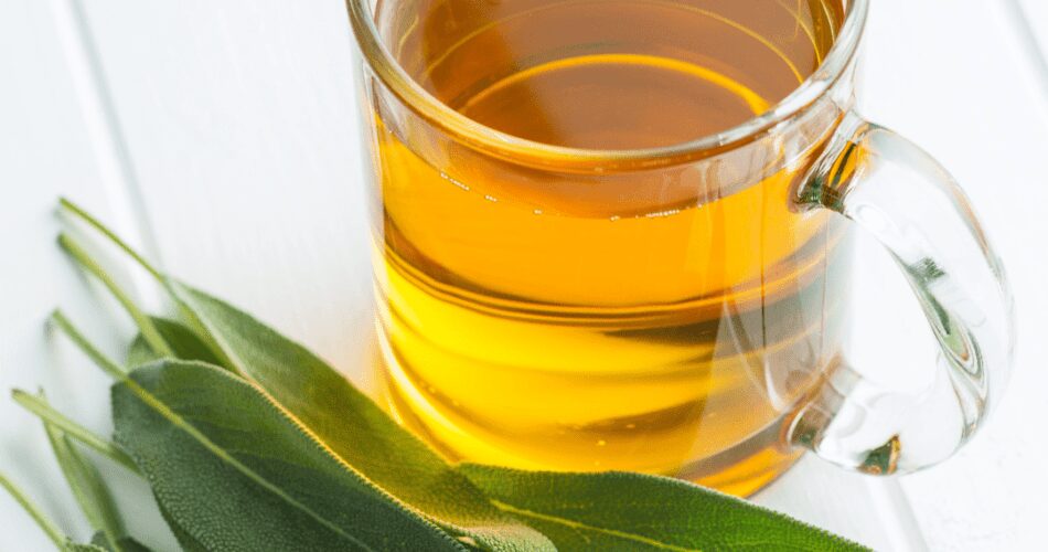 The Wonders of Sage Tea A Cup a Day Keeps the Doctor Away