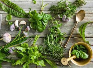 Top 10 Herbs for Your Nerves (Calm Your Nervous System Naturally)