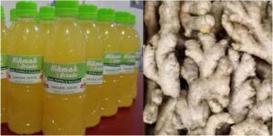 Crafting the Perfect Ginger Juice A Sugar-Free Elixir for Your Well-Being