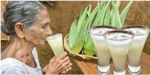 Grandma’s Secret to Health and Vitality Aloe Vera Juice