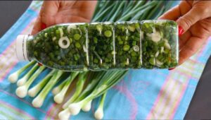Preserving Green Onions for Winter Two Innovative Methods