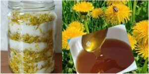 Sunshine in a Spoon Easy No-Cook Dandelion Honey with Lemon