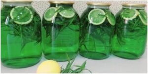 The Hidden Gem of Homemade Drinks Tarragon and Lemon Elixir