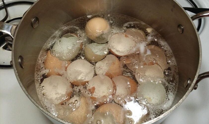 Boiling Eggshells in a Pot Will Save You a Lot of Money