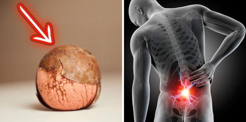 Discovering the Natural Remedy for Back Pain Avocado Seed