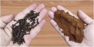 Enhance Your Morning Brew The Wonders of Mixing Cloves with Coffee