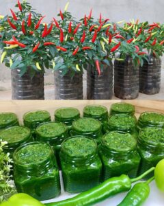 Grow your own peppers and try this, you won't regret it