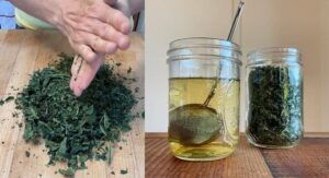 Harnessing the Power of Fig Leaves A Natural Remedy for Diabetes and More