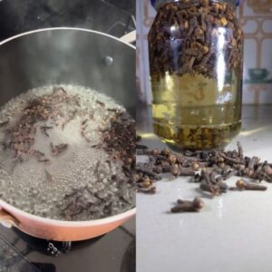 Natural Relief for Bronchitis Try the Power of Cloves