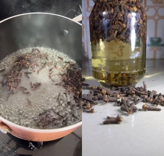 Natural Relief for Bronchitis Try the Power of Cloves