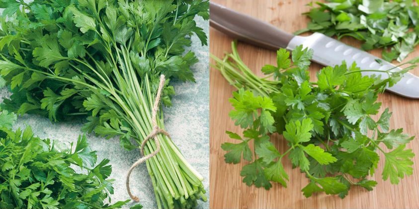 Parsley A Natural Solution for Reducing Water Retention