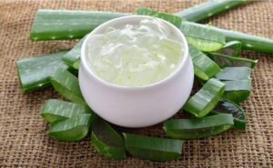 Revitalizing Health with Aloe Vera Juice A Time-Honored Family Legacy