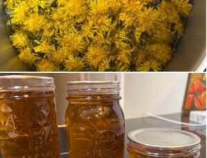 Dandelion honey