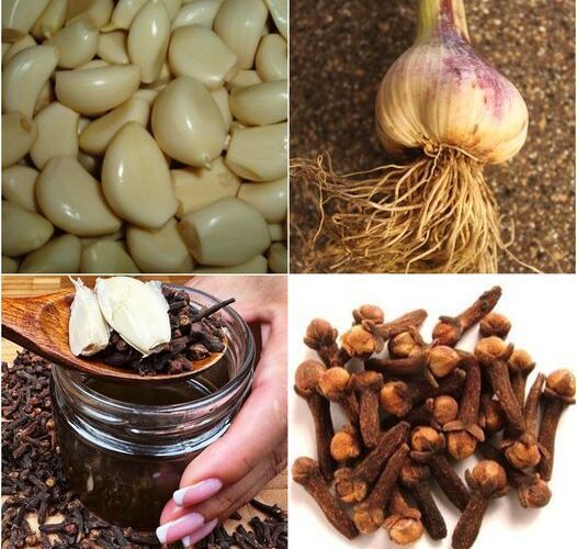 Discover the Ancient Secret Clove and Garlic Oil for Joint Comfort