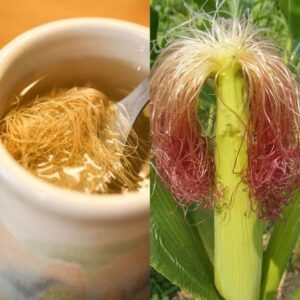 Discover the Hidden Power of Corn Silk