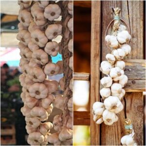 How to Keep Your Garlic Fresh A Complete Guide
