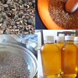 How to Make Castor Oil at Home
