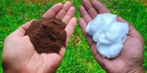 Just Mix Coffee Grounds with Hair Cream and No Need to Buy More from the Store