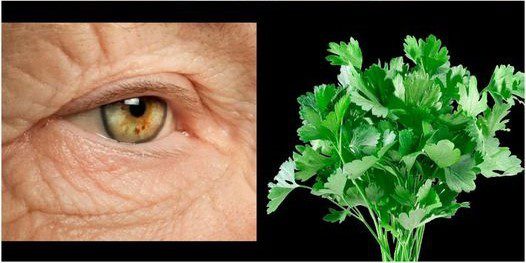Rediscover the Power of Parsley for Age-Defying Vision