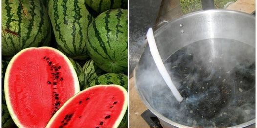 Unlock the Hidden Potential of Watermelon Seeds