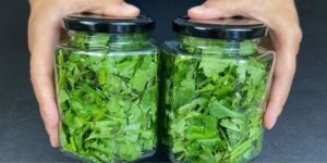 Cilantro Saving Tip Easy - How to Keep Coriander Fresh for Long in the Fridge