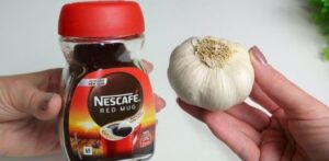 Coffee, Garlic, and Honey A Unique Blend for Better Health