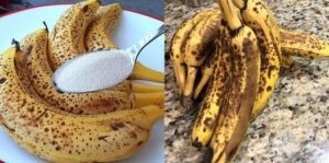 Delicious Banana Oat Cookies A Healthy and Easy Treat