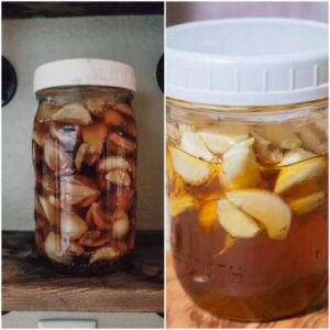 Combining the unique benefits of garlic with the soothing qualities of honey, especially when fermented together, creates a powerful mixture that can truly transform your health. A spoonful of this golden elixir daily might just be what you need to revitalize your well-being. Here’s why fermented honey in garlic is a must-try and how it can change your life. What is Fermented Honey Garlic? Fermented honey garlic is made by immersing fresh garlic cloves in raw honey. Over time, the natural enzymes in the honey and the moisture content of the garlic initiate a fermentation process. This not only preserves the garlic but also imbues the honey with enzymes, vitamins, and the robust flavors of garlic. The fermentation process enhances the health benefits of both ingredients, creating a potent natural remedy. Benefits of Fermented Honey Garlic Boosts Immune System This mixture is packed with antioxidants and antibacterial properties that help strengthen the immune system, making it more effective at fighting off infections. Natural Remedy for Colds and Flu With its combination of immune-boosting and antimicrobial properties, a daily spoonful can help ward off and alleviate the symptoms of colds and flu. Supports Digestive Health Honey and garlic both have prebiotic properties, feeding the beneficial bacteria in the gut and promoting a healthy digestive system. Reduces Inflammation Garlic is known for its anti-inflammatory properties, which can help reduce swelling and pain in the body, contributing to overall health and comfort. Improves Heart Health Regular consumption can aid in reducing cholesterol levels and blood pressure, two significant risk factors for heart disease. How to Make Fermented Honey Garlic Ingredients: Fresh garlic cloves and raw honey. Preparation: Peel and lightly crush the garlic cloves to activate their enzymes and place them in a jar. Completely cover the cloves with raw honey. Seal the jar and store it in a dark place at room temperature. Fermentation: Let the mixture sit for at least one month to ferment, occasionally opening the jar to release gases and stir the contents. How to Use It Daily Health Supplement: Take one spoonful each morning on an empty stomach to harness its health benefits. Culinary Ingredient: Use it as a salad dressing or a glaze for cooking meats and vegetables to enhance flavor and nutritional value. Conclusion Fermented honey in garlic is not just a condiment but a lifestyle change that promotes health and vitality. Its rich flavor and numerous health benefits make it an excellent addition to your daily routine. Try incorporating this miraculous mixture into your life, and you might just see a significant transformation in your overall health.