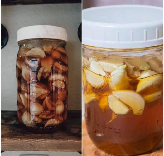 Combining the unique benefits of garlic with the soothing qualities of honey, especially when fermented together, creates a powerful mixture that can truly transform your health. A spoonful of this golden elixir daily might just be what you need to revitalize your well-being. Here’s why fermented honey in garlic is a must-try and how it can change your life. What is Fermented Honey Garlic? Fermented honey garlic is made by immersing fresh garlic cloves in raw honey. Over time, the natural enzymes in the honey and the moisture content of the garlic initiate a fermentation process. This not only preserves the garlic but also imbues the honey with enzymes, vitamins, and the robust flavors of garlic. The fermentation process enhances the health benefits of both ingredients, creating a potent natural remedy. Benefits of Fermented Honey Garlic Boosts Immune System This mixture is packed with antioxidants and antibacterial properties that help strengthen the immune system, making it more effective at fighting off infections. Natural Remedy for Colds and Flu With its combination of immune-boosting and antimicrobial properties, a daily spoonful can help ward off and alleviate the symptoms of colds and flu. Supports Digestive Health Honey and garlic both have prebiotic properties, feeding the beneficial bacteria in the gut and promoting a healthy digestive system. Reduces Inflammation Garlic is known for its anti-inflammatory properties, which can help reduce swelling and pain in the body, contributing to overall health and comfort. Improves Heart Health Regular consumption can aid in reducing cholesterol levels and blood pressure, two significant risk factors for heart disease. How to Make Fermented Honey Garlic Ingredients: Fresh garlic cloves and raw honey. Preparation: Peel and lightly crush the garlic cloves to activate their enzymes and place them in a jar. Completely cover the cloves with raw honey. Seal the jar and store it in a dark place at room temperature. Fermentation: Let the mixture sit for at least one month to ferment, occasionally opening the jar to release gases and stir the contents. How to Use It Daily Health Supplement: Take one spoonful each morning on an empty stomach to harness its health benefits. Culinary Ingredient: Use it as a salad dressing or a glaze for cooking meats and vegetables to enhance flavor and nutritional value. Conclusion Fermented honey in garlic is not just a condiment but a lifestyle change that promotes health and vitality. Its rich flavor and numerous health benefits make it an excellent addition to your daily routine. Try incorporating this miraculous mixture into your life, and you might just see a significant transformation in your overall health.