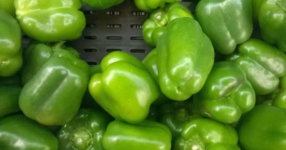 Green Pepper Magic