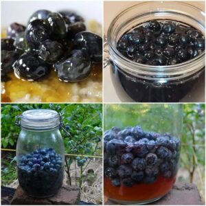 He Mixed Berries with Honey and Was Not Sick for Years