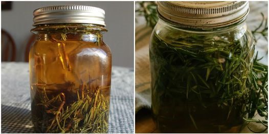 How to Make Rosemary Oil (Macerat) and Its Amazing Benefits