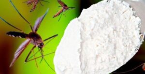 Mosquitoes Disappear in Just 1 Minute Forever! Best Free Organic Recipe with Baking Soda