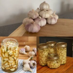 Preserving Garlic The Secret to Freshness