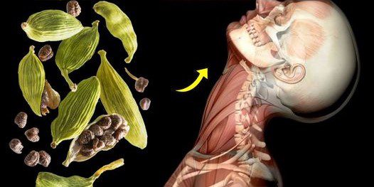 The Wonderful Effects of Adding Cardamom to Your Daily Diet