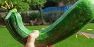 Zucchini 4 Facts and a Twist!