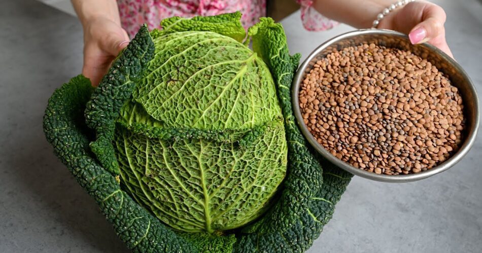 Lentils with Cabbage A Simple and Delicious Alternative to Meat