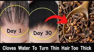 Unlock the Secret to Thicker Hair Cloves for Hair Growth