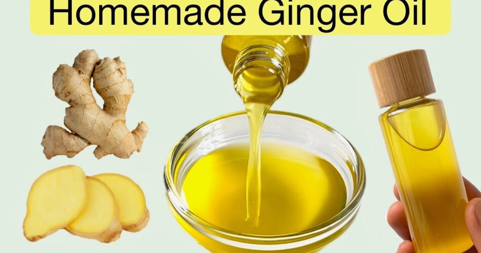 How to Make Ginger Oil for Hair Growth, Scalp Fungi, Dandruff, and Strong Hair (DIY Homemade)