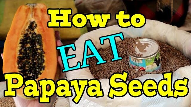 You Can Eat Papaya Seeds Here’s Why You Should!