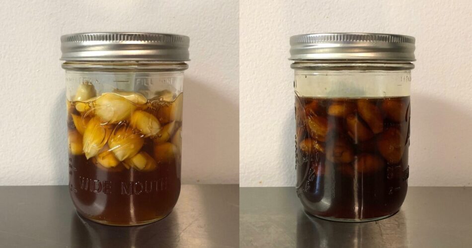 Fermented Garlic How to Make & Benefits
