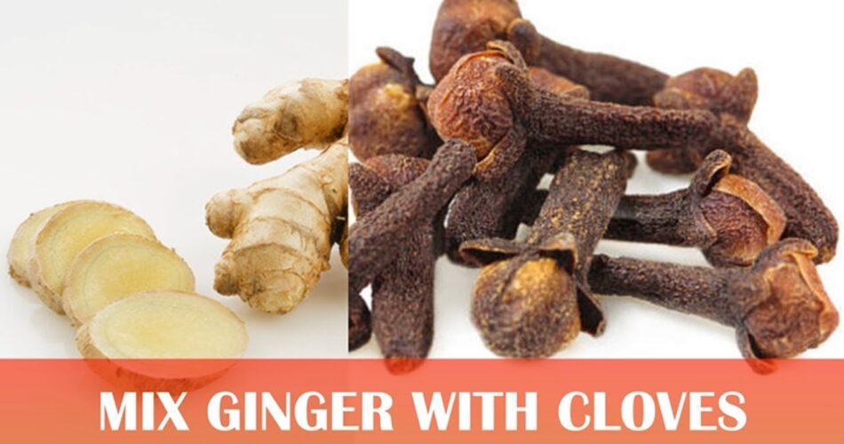 The Secret of Mixing Ginger with Clove See What Happens to Your Body