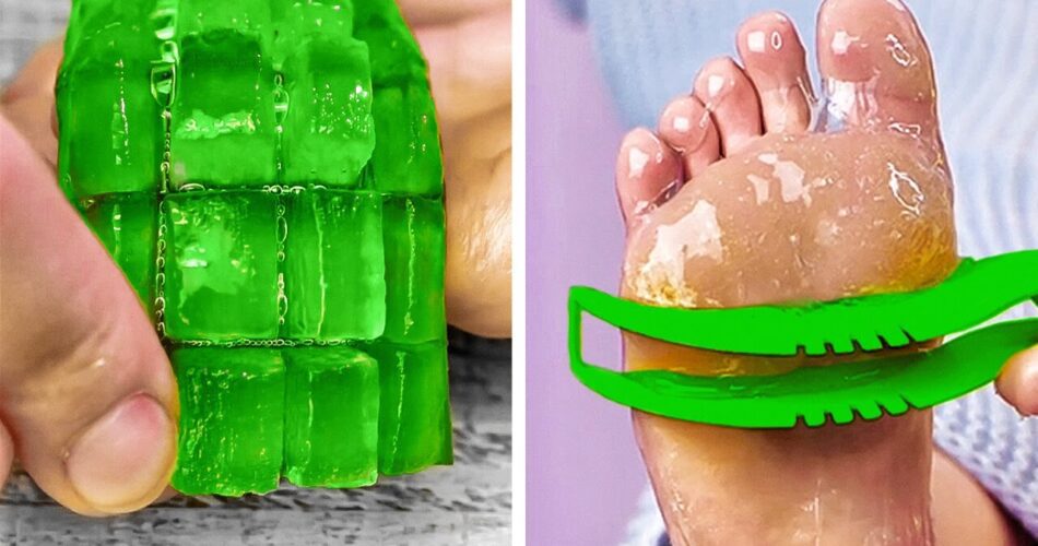 Amazing Uses for Aloe Vera and Natural Beauty Hacks You Need to Know