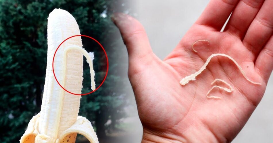 Why You Should Always Eat Those Weird Strings on Your Banana