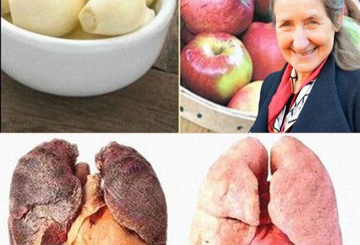 The Amazing Health Benefits of the Garlic and Cashew Apple Combination