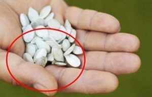 Exclude This Food from Your Diet Immediately, as It Damages Joints and Cartilage