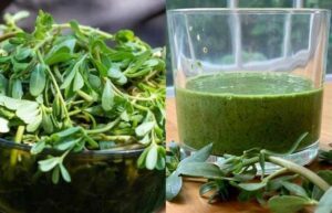 If you see this in your yard, do not break it under any circumstances. It saves lives!